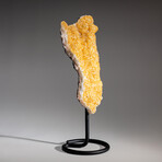 Genuine Citrine Quartz Crystal Cluster on Metal Stand // 9 lbs