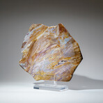 Genuine Polished Quartz Agate Slice from Brazil on Acrylic Display Stand