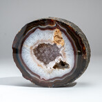 Genuine Banded Agate Druzy Quartz Geode From Brazil