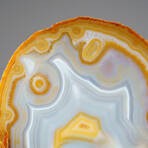 Genuine Quartz "Smiley Face" Slice with Acrylic Display Stand // 270 g