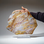 Genuine Polished Quartz Agate Slice from Brazil on Acrylic Display Stand