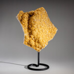 Genuine Citrine Quartz Crystal Cluster on Metal Stand // 9 lbs