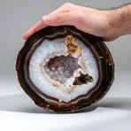 Genuine Banded Agate Druzy Quartz Geode From Brazil