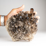 Genuine Smoky Quartz Crystal Cluster from Mina Gerais, Brazil // 5 lbs