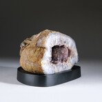 Genuine Banded Agate Geode on Wooden Stand From Brazil