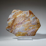 Genuine Polished Quartz Agate Slice from Brazil on Acrylic Display Stand