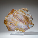 Genuine Polished Quartz Agate Slice from Brazil on Acrylic Display Stand