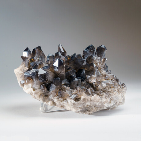 Genuine Smoky Quartz Cluster