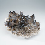 Genuine Smoky Quartz Cluster