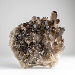 Genuine Smoky Quartz Crystal Cluster from Mina Gerais, Brazil // 5 lbs