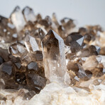 Genuine Smoky Quartz Crystal Cluster from Mina Gerais, Brazil // 3.5 lbs