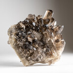 Genuine Smoky Quartz Crystal Cluster from Mina Gerais, Brazil // 5 lbs