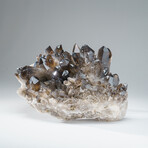 Genuine Smoky Quartz Cluster