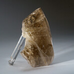 Genuine Smokey Quartz Point