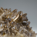 Genuine Smoky Quartz Crystal Cluster