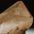 Genuine Polished Smoky Quartz Point from Brazil