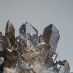 Genuine Smoky Quartz Cluster