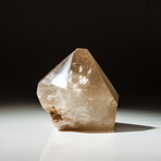 Genuine Polished Smoky Quartz Point from Brazil