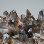 Genuine Smoky Quartz Cluster