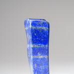 Genuine Polished Lapis Lazuli Freeform // 404 g