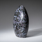 Genuine Polished Indigo Gabbro // Medium Freeform from Madagascar