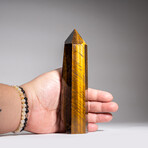 Genuine Polished Tiger's Eye Point // 386.2 g