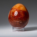 Genuine Polished Gem Carnelian Agate Egg with Acrylic Display Stand // 2.5"// 265.5 g