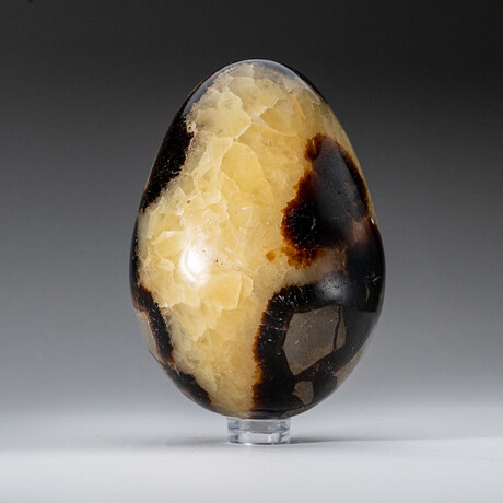 Genuine Polished Septarian Egg with Acrylic Display Stand // 3"// 490g