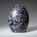 Genuine Polished Indigo Gabbro // Medium Freeform from Madagascar