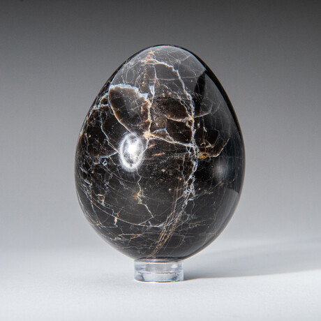 Genune Polished Black Moonstone Egg  with Acrylic Display Stand // 2.5"// 270g