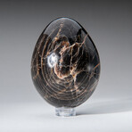 Genune Polished Black Moonstone Egg  with Acrylic Display Stand // 2.5"// 270g