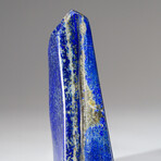 Genuine Polished Lapis Lazuli Freeform // 1.5 lbs