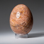 Genuine Polished Peach Moonstone Egg with Acrylic Display Stand // 2.5"// 400g