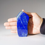 Genuine Polished Lapis Lazuli Freeform // 408 g