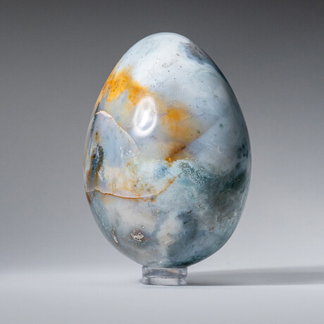 Genuine Polished Ocean Jasper Egg with Acrylic Display Stand // 3"// 370g