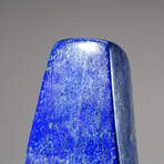 Genuine Polished Lapis Lazuli Freeform // 2.5 lbs