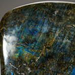 Genuine Polished Labradorite Freeform from Madagascar // 13 lbs