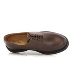 Derby Shoes // Brown Dark (40)