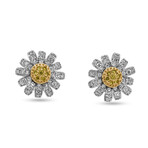 18k White Gold + 18k Yellow Gold Sunflower Fancy Yellow Studs Earrings // New