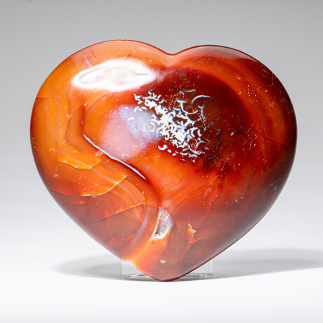 Genuine Polished Gem Carnelian Agate Heart from Madagascar with Acrylic Display Stand