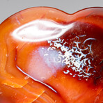 Genuine Polished Gem Carnelian Agate Heart from Madagascar with Acrylic Display Stand
