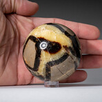 Genuine Polished Septarian // 2" // Sphere from Madagascar with Acrylic Display Stand