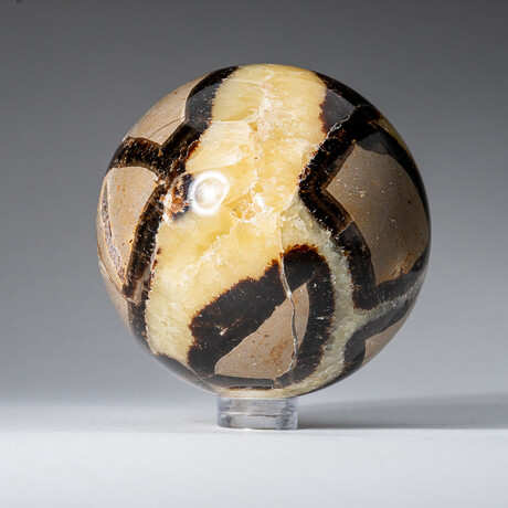 Genuine Polished Septarian // 2" // Sphere from Madagascar with Acrylic Display Stand