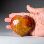 Genuine Petrified Wood // Medium // Heart from Madagascar with a Black Velvet Pouch