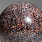 Genuine Polished Garnet // 2.5" // Sphere with Acrylic Display Stand