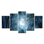 Framed Canvas Print Pentaptych Pictures // Night Sky