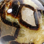 Genuine Polished Septarian Sphere from Madagascar with Acrylic Display Stand // 4 lbs