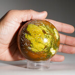 Genuine Polished Green Opal Sphere with Acrylic Display Stand // 1.5 lbs