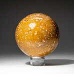 Genuine Polished Ocean Jasper Sphere with Acrylic Display Stand // 2.6 lbs