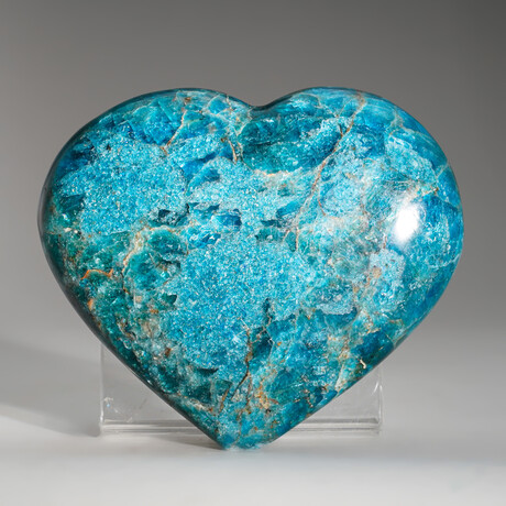 Genuine Polished Blue Apatite Heart with Acrylic Display Stand // 1.2 lbs